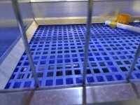 Клетка для бройлеров с пластиковым полом